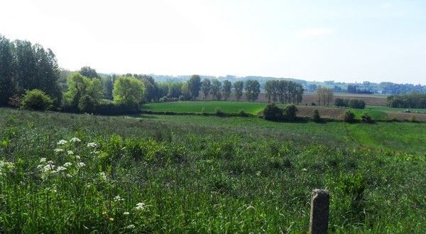 TSR_paisaje_flandes